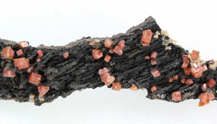 Red Vanadinite Crystals on Manganese Oxide - Morocco #38501